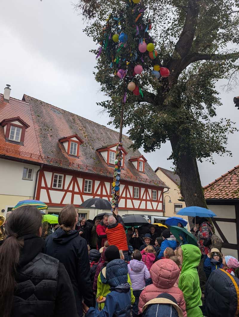 Wackelzähne schmücken die Kerwas-Fichtn mit viel Freude