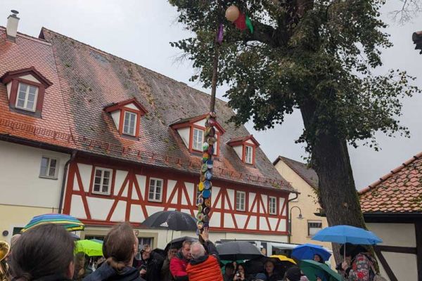 Wackelzähne schmücken die Kerwas-Fichtn mit viel Freude